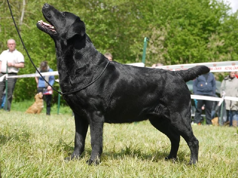 Funky music du Castel du Tremblay